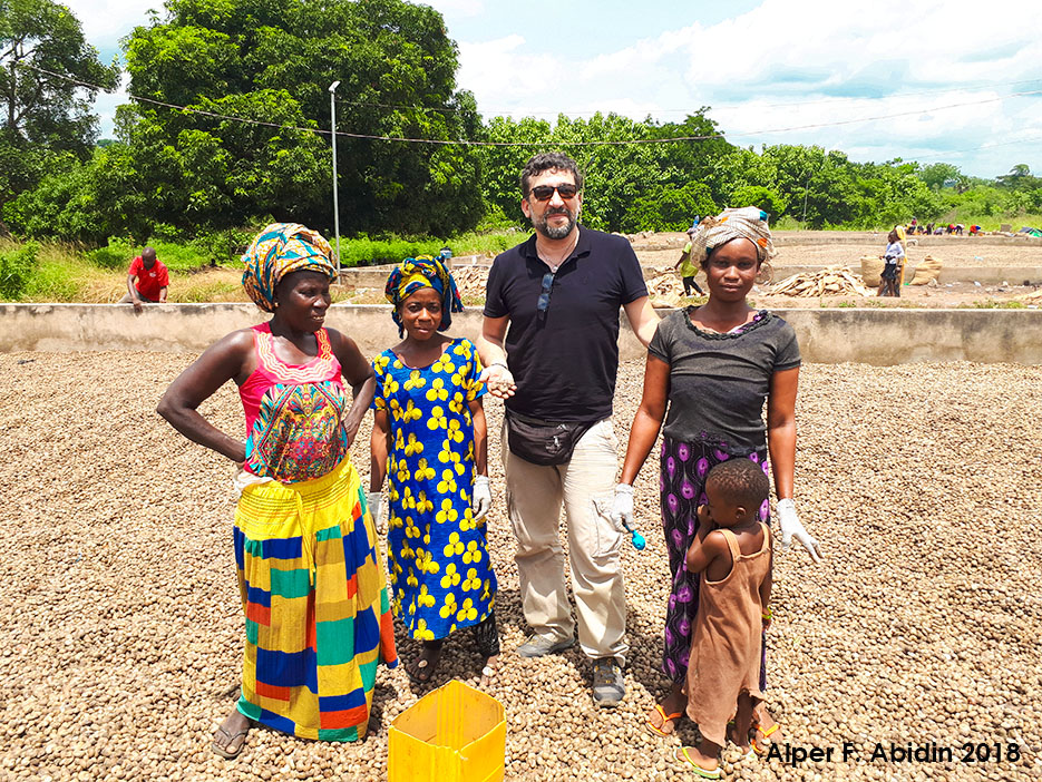 Kaju Ticareti Kaju Rehberi